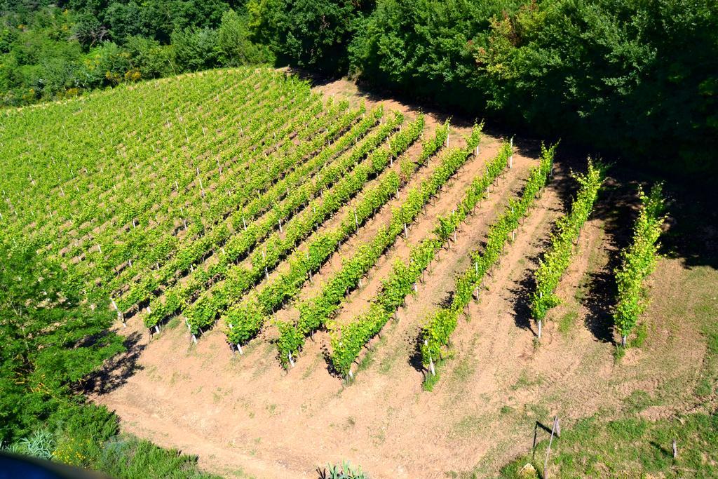 Agriturismo Le Cantine Poggibonsi Dış mekan fotoğraf